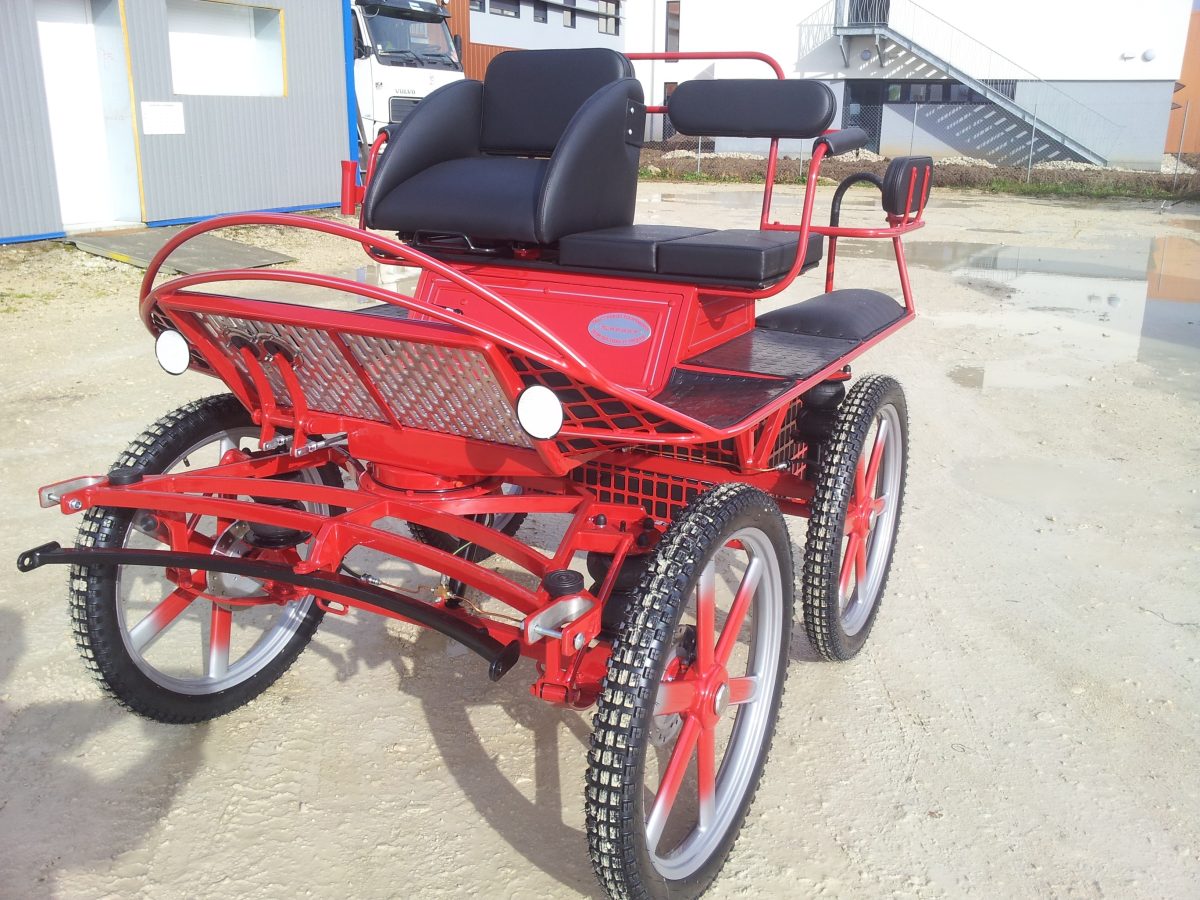 Calèche mixte sport