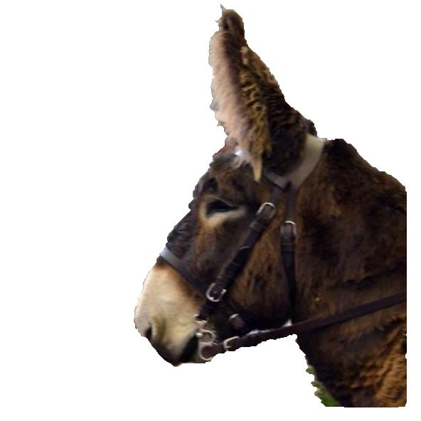 Attelage âne et mule