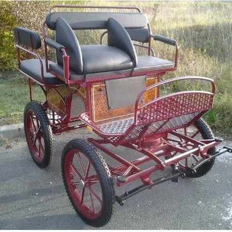Calèches pour âne et mule