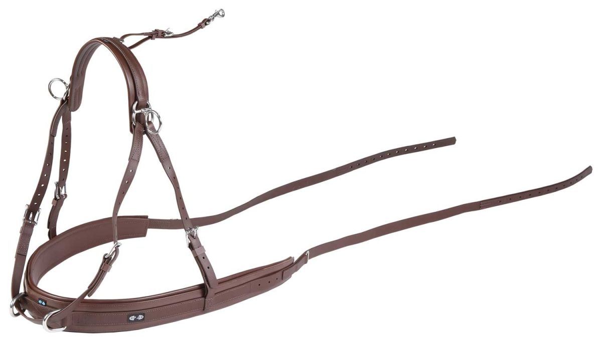 Bricole d'attelage combinée