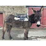 Bât de charge ane et mule – Image 8