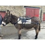 Bât de charge ane et mule