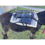 Bât de charge ane et mule – Image 4
