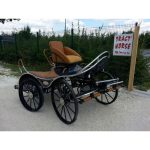 Calèche marathon sport type R en paire cheval
