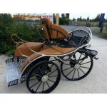 Calèche marathon sport type R en paire cheval – Image 7