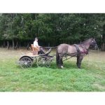 Calèche marathon sport type R en paire cheval – Image 2