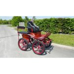 Calèche wagonnette mixte avec siège meneur – Image 3