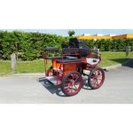 Calèche wagonnette mixte avec siège meneur – Image 2