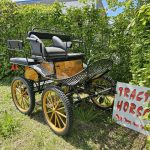 Calèche wagonnette mixte cheval