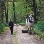 Collier de travail non ajustable – Image 11
