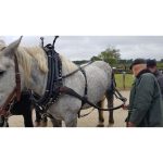 Collier de travail ajustable attelles renforcées