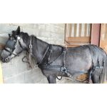 Harnais d'attelage biothane en paire – Image 6