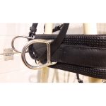 Harnais d'attelage biothane en paire – Image 2
